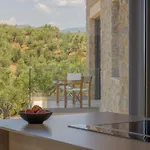 Messinian Nest Villa